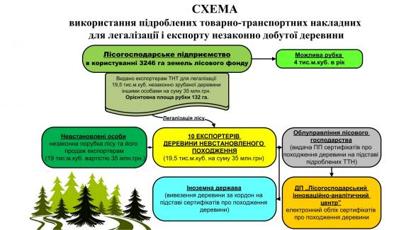 Крадуть і везуть за кордон. У вирубці лісів хмельницька облпрокуратура підозрює посадовців, фото №1 на сайті vsim.ua