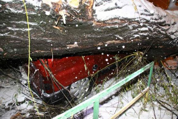 Наслідки снігопаду: десятки аварій через сніг, але без загиблих (ФОТО), фото №10 на сайті 20minut.ua