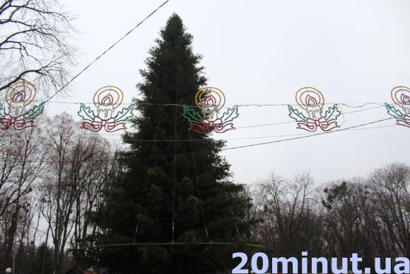 Прикраса за 250 тисяч гривень: у центральному парку встановили новорічну ялинку, фото №1 на сайті 20minut.ua