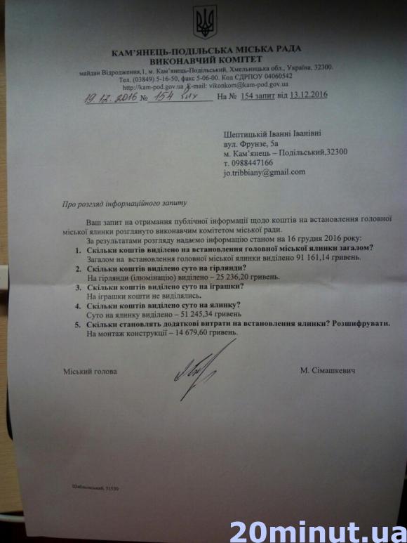 Скільки коштувала Кам’янцю – Подільському головна міська ялинка?, фото №3 на сайті 20minut.ua