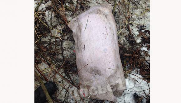 Спочатку вбив 5-річного хлопчика, а через 8 років зарізав його матір і викинув у річку, фото №1 на сайті 20minut.ua