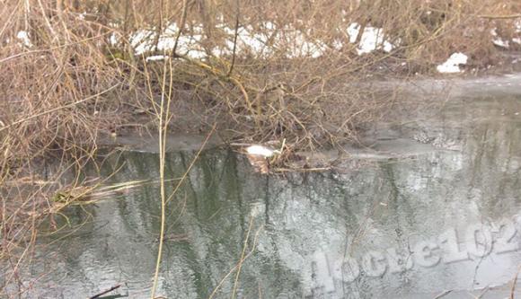 Спочатку вбив 5-річного хлопчика, а через 8 років зарізав його матір і викинув у річку, фото №2 на сайті 20minut.ua