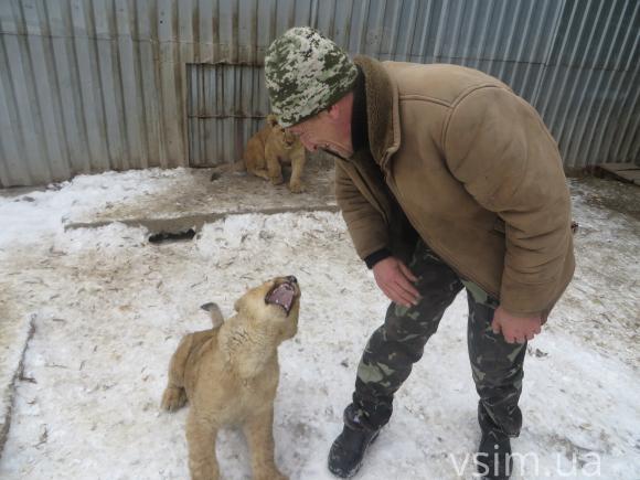 У приватному зоокутку Пальохіна з'явилися соколи, борсуки та шотландський поні, фото №1 на сайті vsim.ua