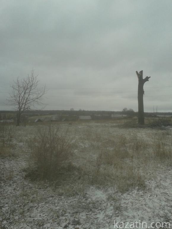 Знищують вікові дерева на сайті 20minut.ua Знищують вікові дерева, фото №2 на сайті 20minut.ua