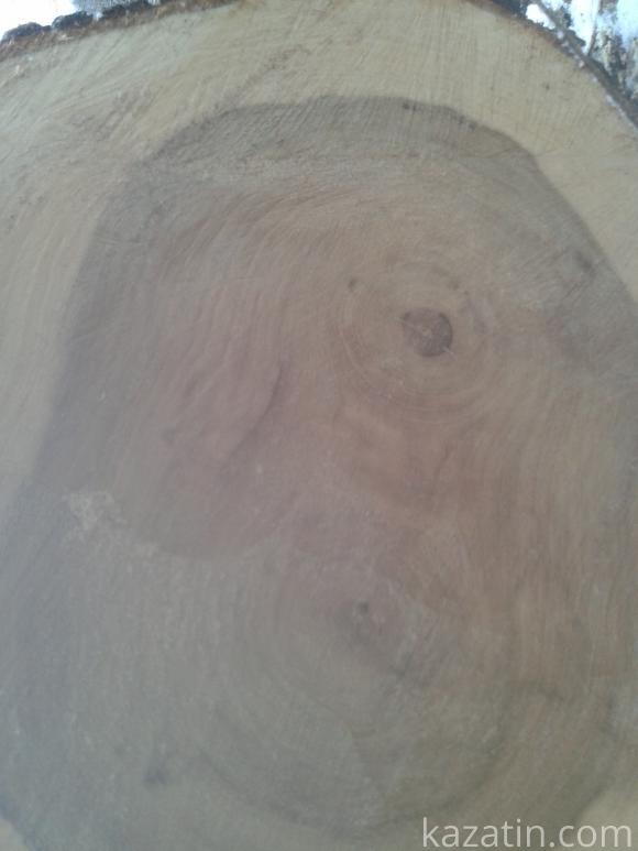 Знищують вікові дерева на сайті 20minut.ua Знищують вікові дерева, фото №4 на сайті 20minut.ua