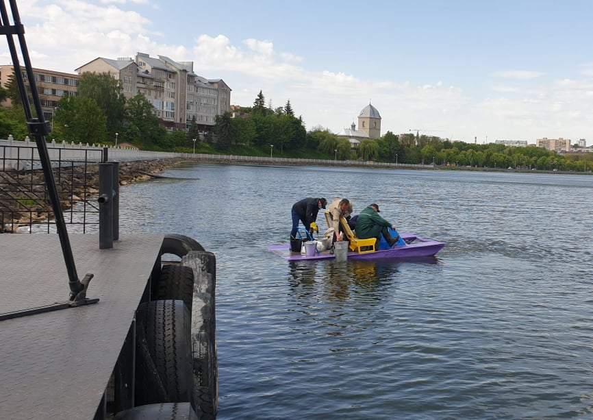 Екологи запустили у Тернопільський став спеціальні водорості, які допоможуть очистити водойму (ФОТО) на сайті 20minut.ua Екологи запустили у Тернопільський став спеціальні водорості, які допоможуть очистити водойму (ФОТО), фото №2 на сайті 20minut.ua