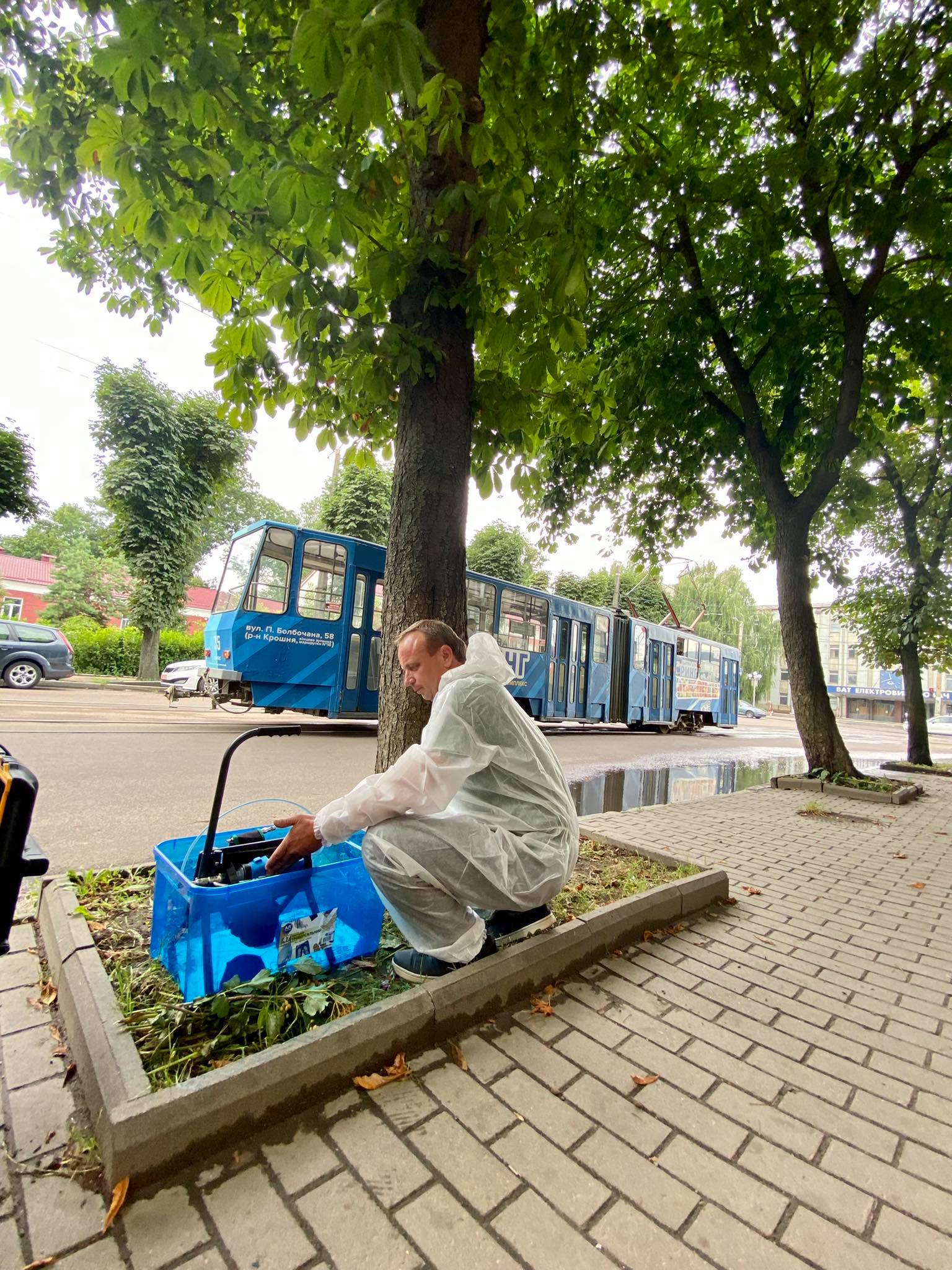 Житомирські каштани вакцинують проти молі, фото №2 на сайті 20minut.ua