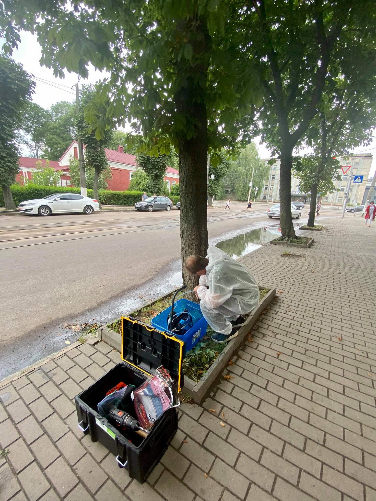 Житомирські каштани вакцинують проти молі, фото №4 на сайті 20minut.ua