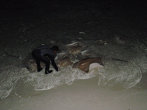 Мальдіви: тропічне царство посеред океану (ФОТО і ВІДЕО) на сайті 20minut.ua Мальдіви: тропічне царство посеред океану (ФОТО і ВІДЕО), фото №24 на сайті 20minut.ua