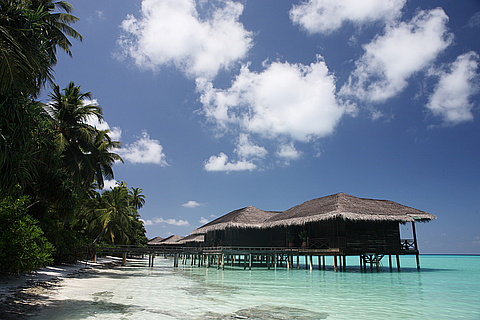 Мальдіви: тропічне царство посеред океану (ФОТО і ВІДЕО) на сайті 20minut.ua Мальдіви: тропічне царство посеред океану (ФОТО і ВІДЕО), фото №4 на сайті 20minut.ua